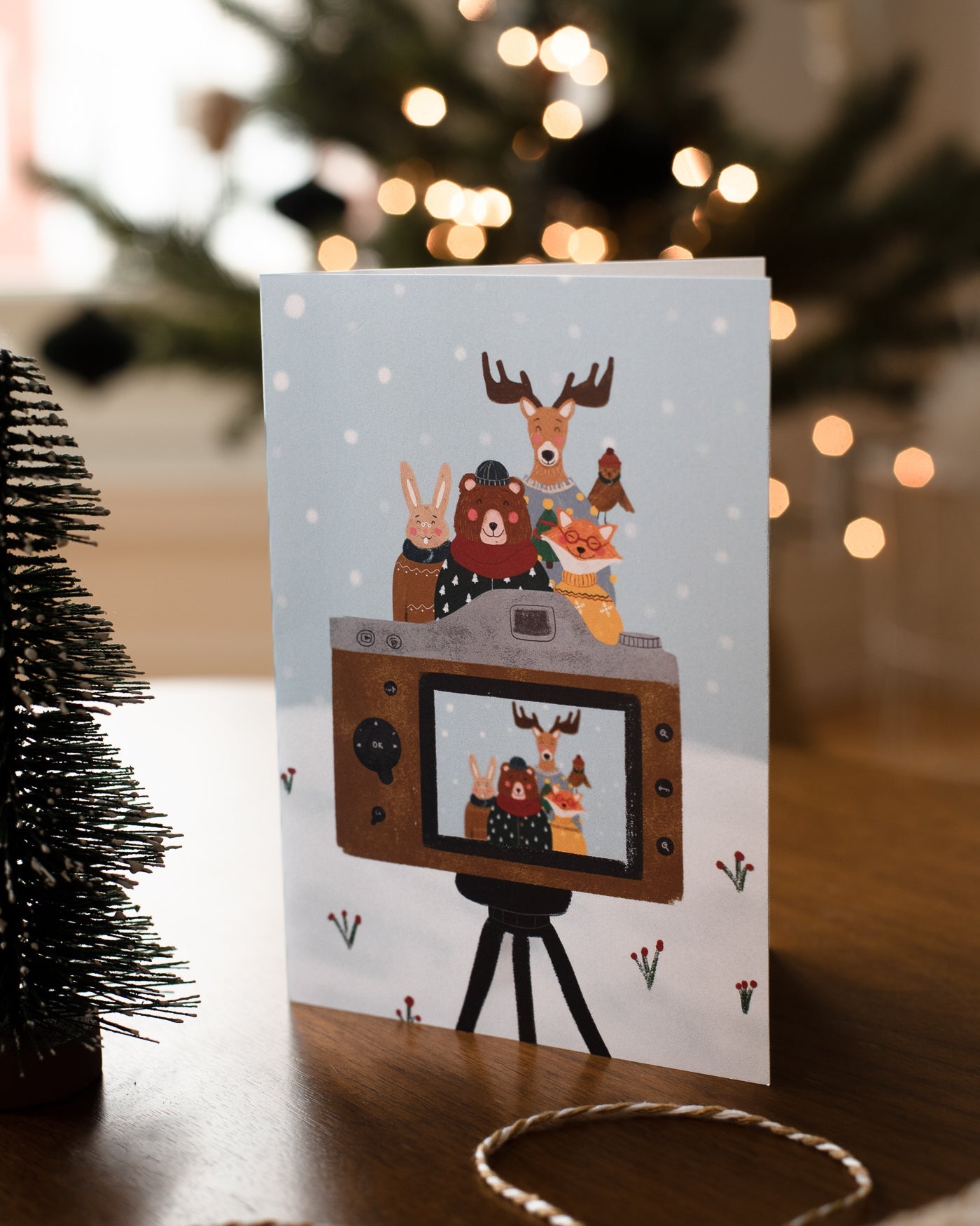 Carte de Noël - Portraits de famille - Citron & Miel